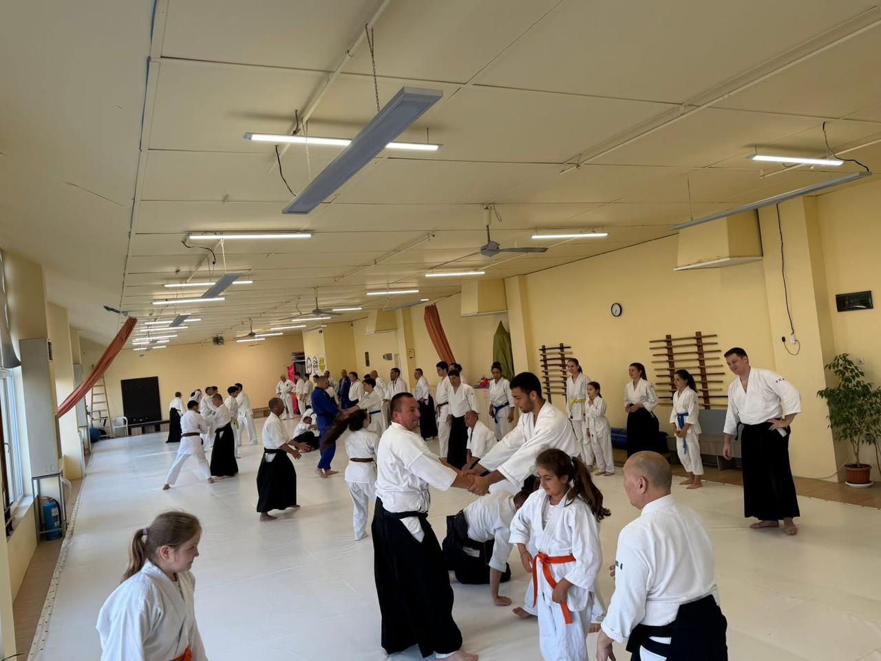 Seminar training on the mat — partner practice
