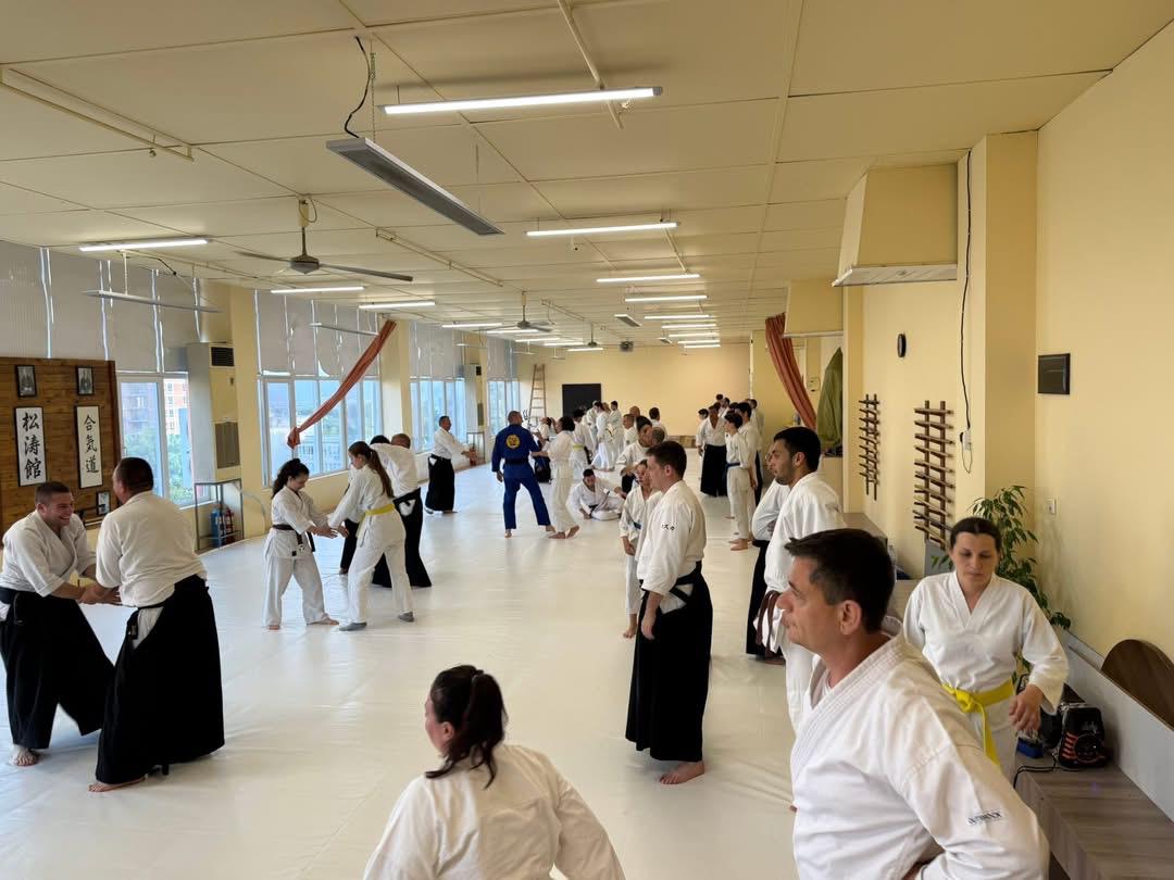 Wide view of the seminar dojo during practice